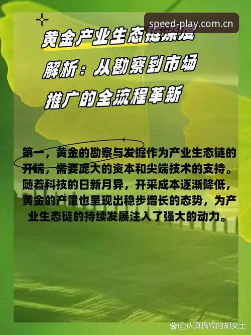 QS娱乐手机版 QS娱乐手机版全面评测:高速体验与创新玩法深度解析